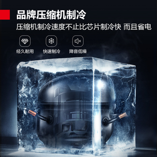 学校幼儿园食品留样柜专用带锁酒店饮料小型冰箱保鲜冷藏箱展示柜