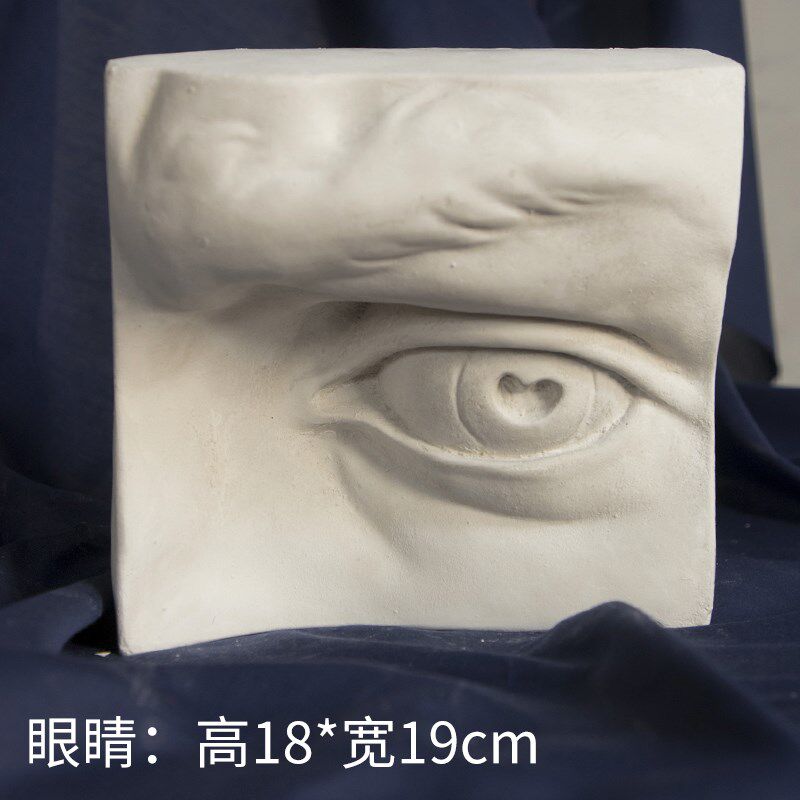五官实面石膏像五官切面摆件石膏美术教具素描绘画美术静物人像