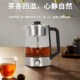 新款 安化黑茶煮茶器全自动蒸汽煮养生茶壶家用办公室小型保温茶具