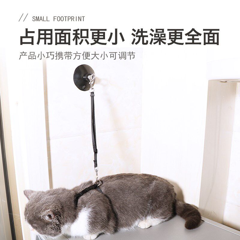 猫咪洗澡神器洗猫剪指甲防抓防咬固定器宠物美容桌拴猫绳子防挣脱