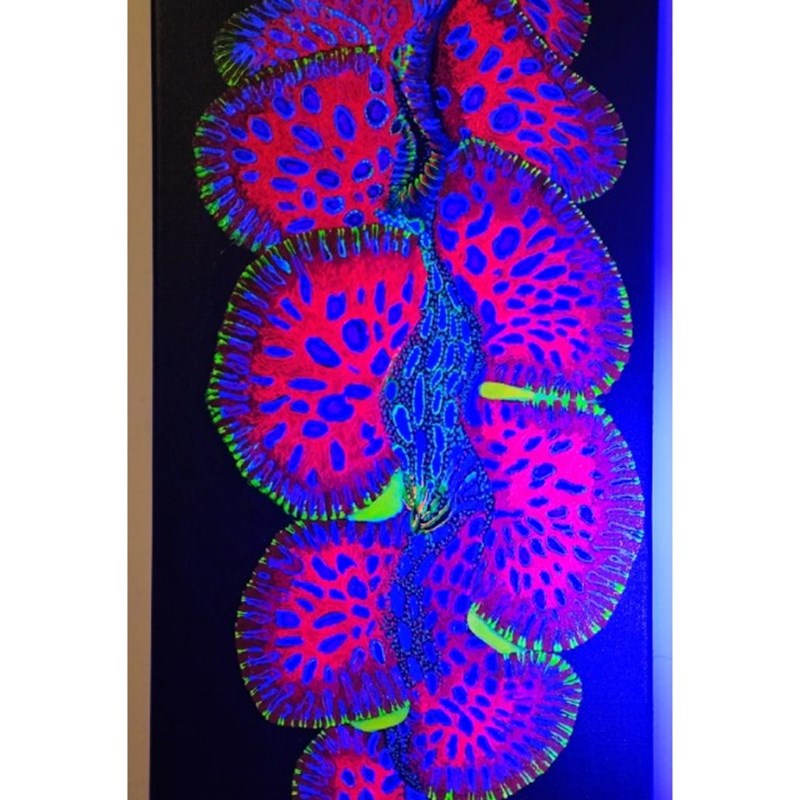 荧光画海缸装饰画海水鱼珊瑚荧光画30/40 正圆荧光丙烯画