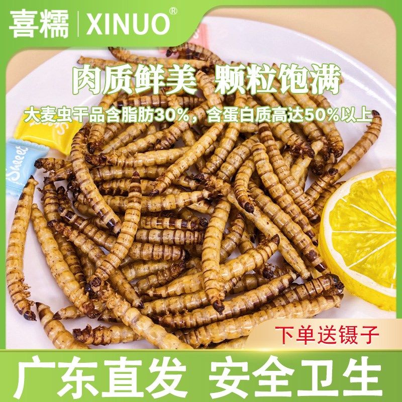 龙鱼专用饲料金龙鱼银龙鱼饲料上浮型鱼食大麦虫面包虫干金鱼饲料,宠物/宠物食品及用品,鼠粮,淘宝优惠券,粉丝福利购,淘宝优惠卷