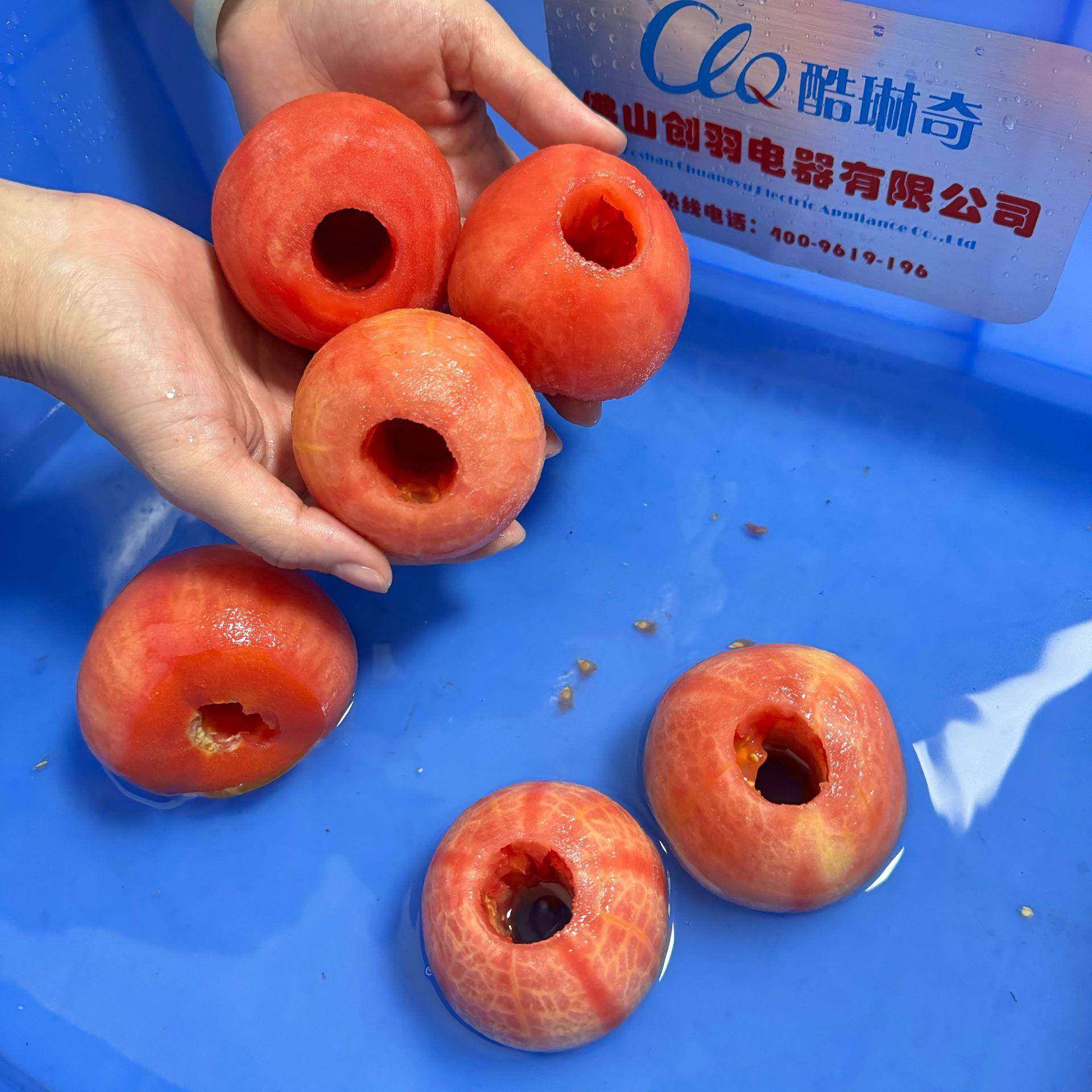 双工位三合一苹果梨子削皮切瓣机柿子番茄去皮取芯机水果削皮去核,清洗/食品/商业设备,其他食品加工设备,淘宝优惠券,粉丝福利购,淘宝优惠卷