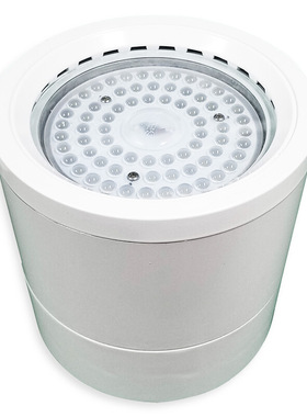 GC301-XL 固定式LED灯具RLEHB301-XL III  GC301 RLEHB301-IV