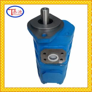 1010双联齿轮泵 CBGj1016 CBGj1025 1010