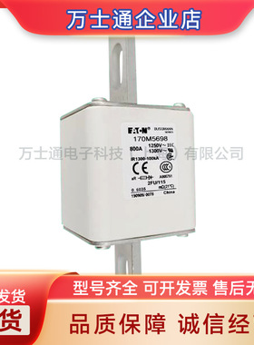 170M5558/5559/5560/5561/5562/5563/5564/5565/5566熔断器现货