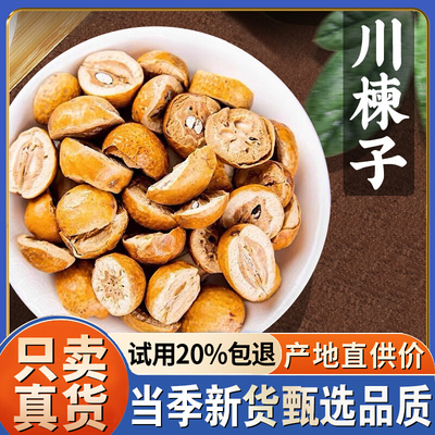 川楝子中药材苦楝子泡水喝