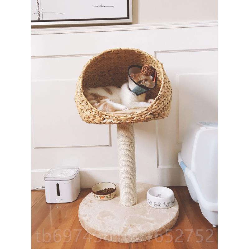 新款猫爬架通猫树夏季猫抓柱猫跳台猫玩具耐天抓大小型用柱四季通