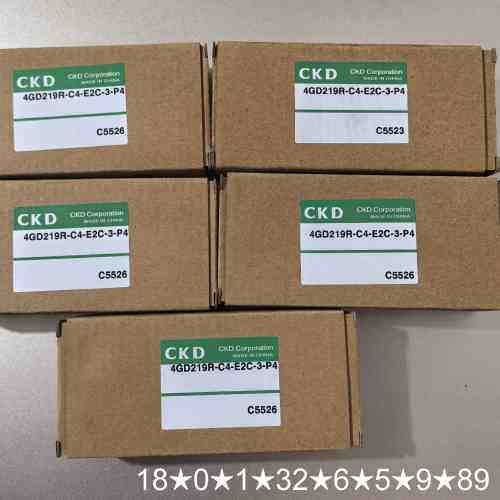 CKD电磁阀4GD219R-C4-E2C-3-P4
