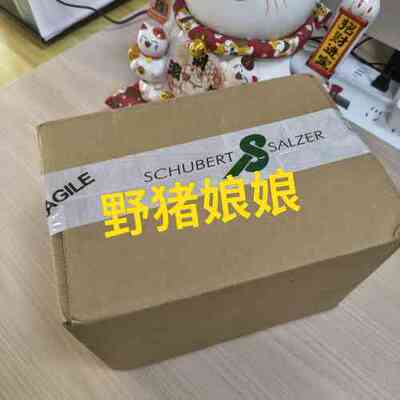 全新 8049-4数字定位器Schubert Salze