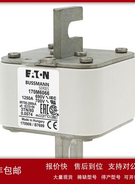 美国Bussmann熔断器170M6058议价