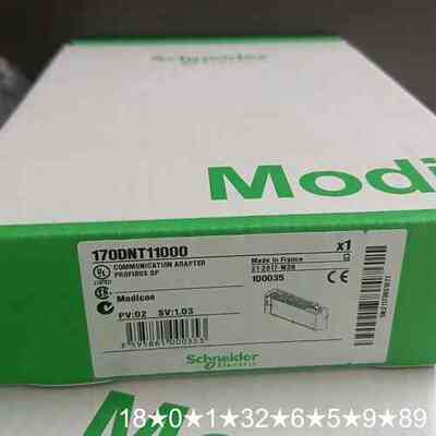 170DNT11000 正品