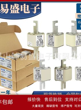巴斯曼Bussmann熔断器690V 160A   170M3114 170M3264议价