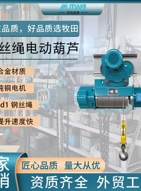 cd1钢丝绳电动葫芦起重电葫芦电动葫芦起吊机多规格起吊葫芦