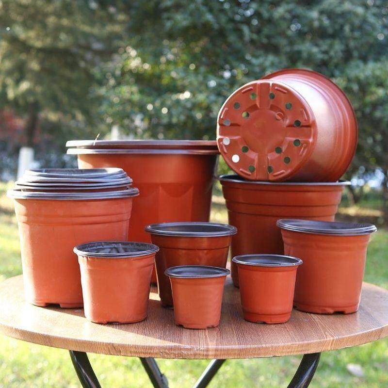 加厚双色花盆种植育苗盆塑料营养钵一次性园艺绿植盆多肉扦插盆大