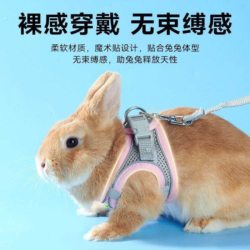 侏儒兔子牵引绳防挣脱专用溜兔绳小兔子侏儒荷兰猪溜龙猫外出用品