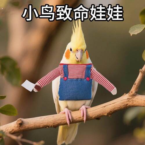 鹦鹉搞笑衣服鸟用品鸟衣服宠物鸟变身装宠物搞怪衣服小鸟致命娃娃