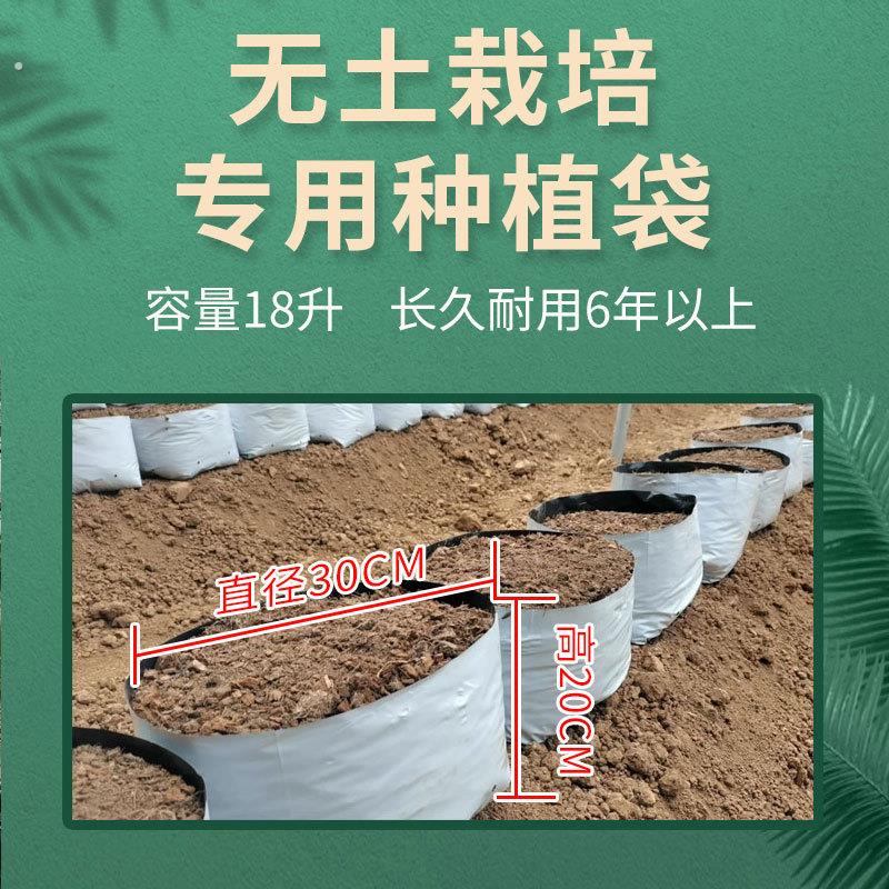 付老师团队无土栽培专用聚丙烯塑料种植袋瓜果蔬菜通用加厚种植袋