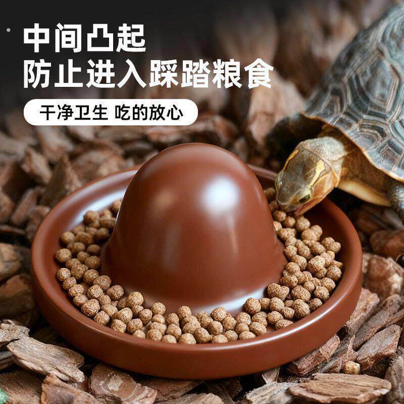 黄缘龟喂食盘半水龟喂食龟苗专用圆形喂食器餐盘食台乌龟食盆