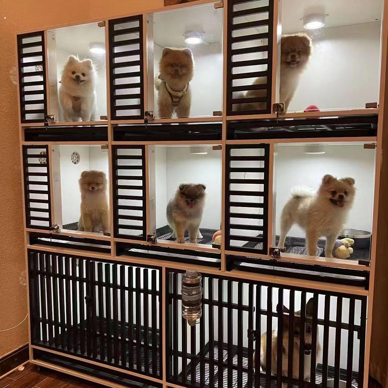 狗笼子中型犬大型犬家用室内实木带厕所狗别墅猛犬不锈钢笼