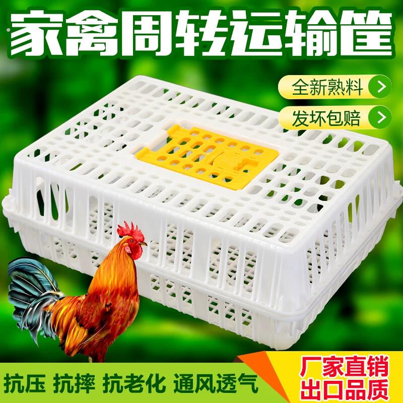 鸡笼子家用加厚家禽周转箱筐大号塑料鸭笼鹅笼鸡笼子加粗兔笼运输