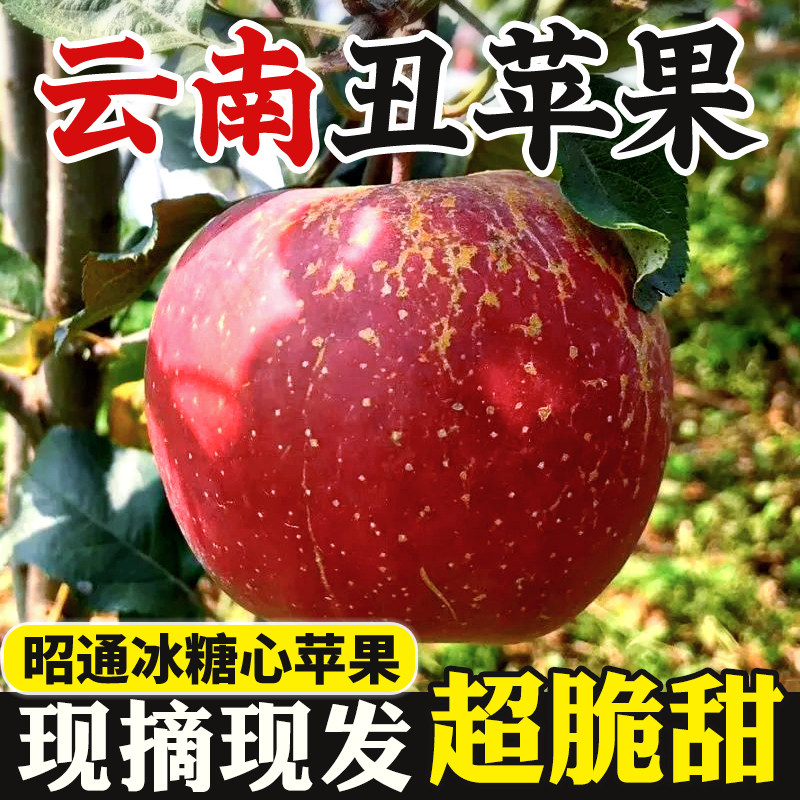 云南昭通市丑苹果新鲜水果冰糖心