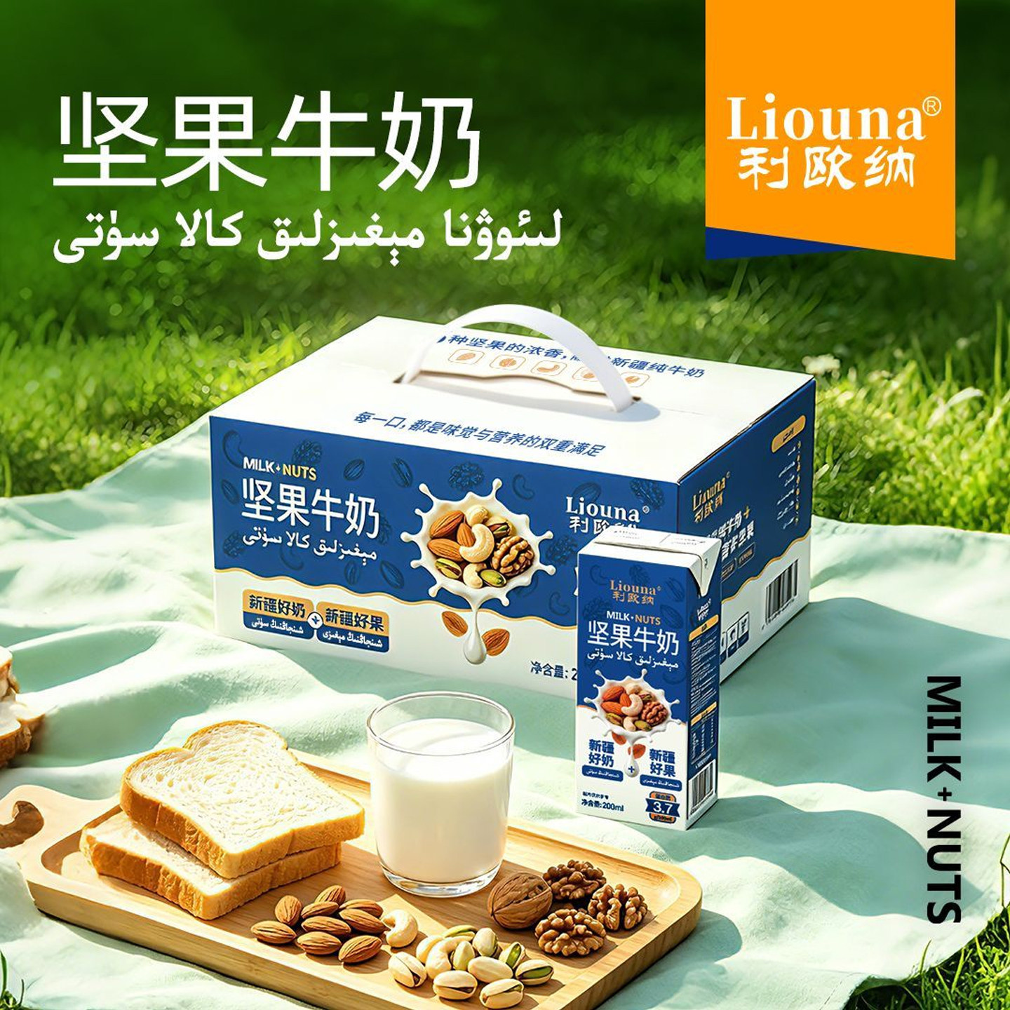 新疆 利欧纳Liouna坚果牛奶 210ml*12盒成人女士学生成长产地直发