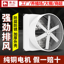骆驼牌玻璃钢负压风机工业排风扇强力通抽风机排气扇养殖厂换气扇