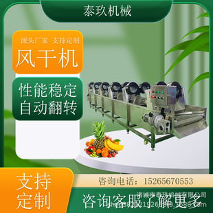 枸杞风干机叶类蔬菜风干流水线包装袋吹干沥水机大枣清洗风干设备