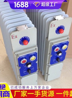 中煤RB2000/127矿用取暖器 矿用取暖器 防爆取暖器