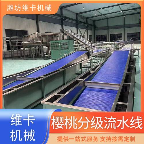 车厘子选果机 大型分级设备线 樱桃滚杠选果机  预冷清洗分选线