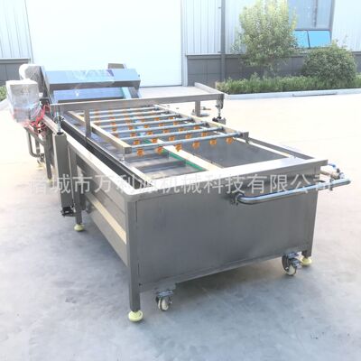 万利源 高压喷淋茶叶清洗设备 香草气泡清洗机器 连续式净菜加工