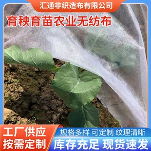 PP纺粘无纺布卷25g-100g农业抗老化育秧布花草树农用无纺布卷