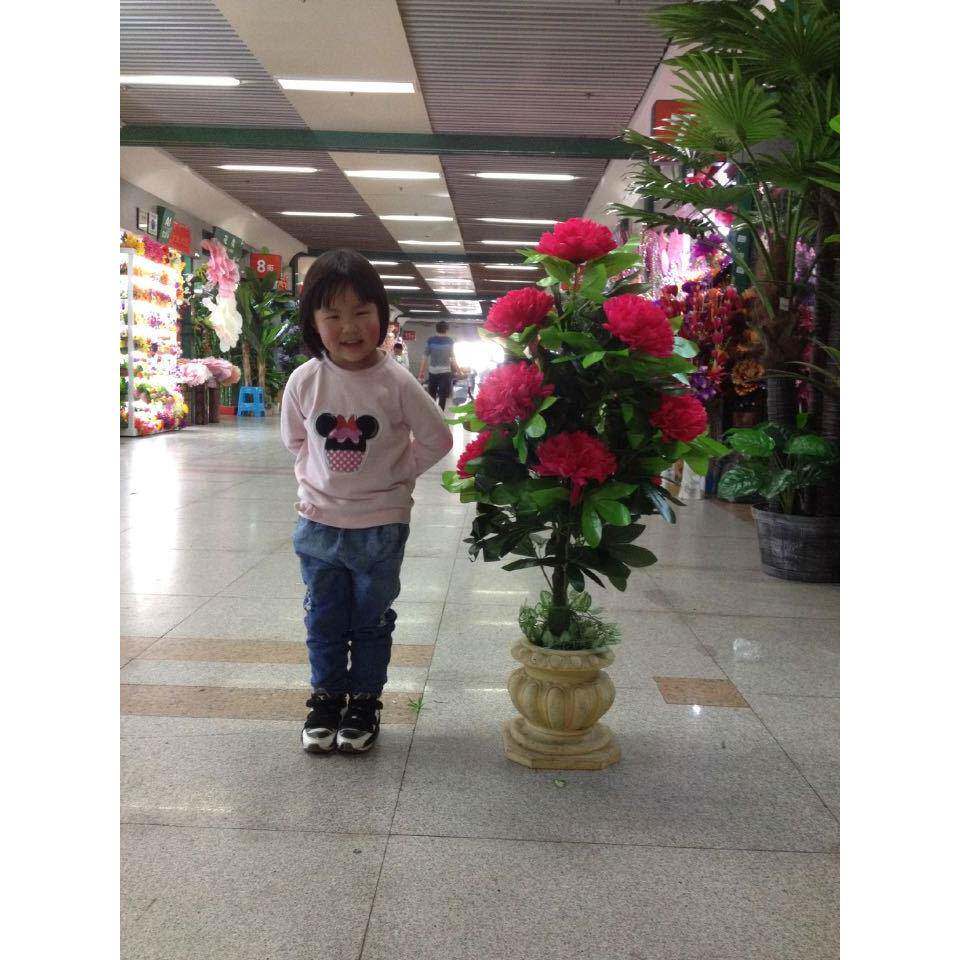 仿真牡丹绣球花假树假花客厅装饰绿色绿植物落地绢花盆栽塑料盆景