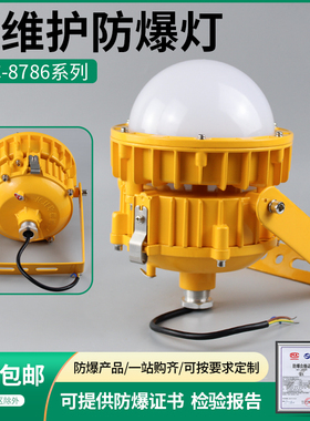 DFC8767LED免维护防爆60W70W80W泛光灯微波感应急石油化工平台灯
