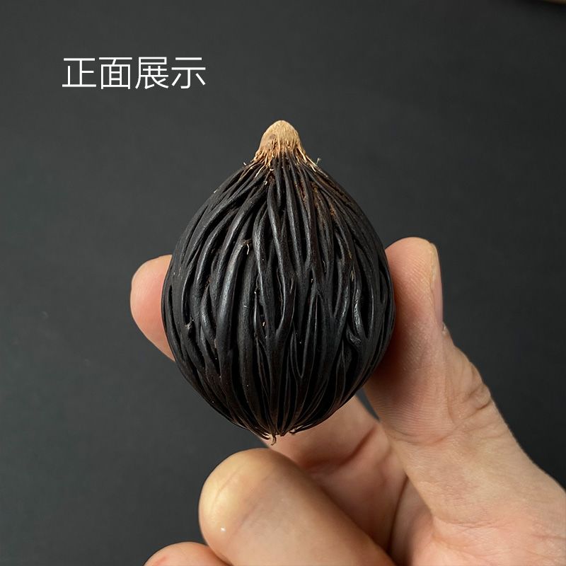 千丝菩提原籽狐尾椰子种子男女diy配件文玩手把件钥匙扣图片