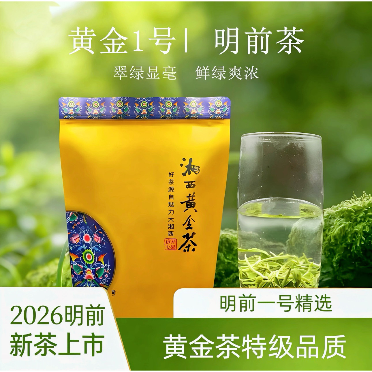 湘西保靖黄金茶谷雨茶高山云雾手工炒制绿茶250g袋装