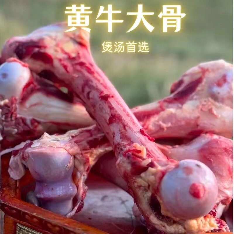 新鲜牛棒骨狗狗磨牙棒真骨头耐咬磨牙钙原切带筋膜肉防拆家冷冻
