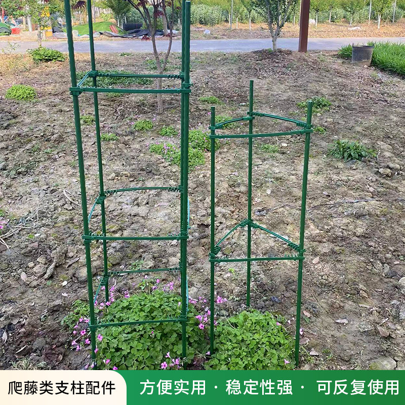 蔬菜支撑杆爬藤植物连接杆支架塑料连接件连接杆包塑园林配件,鲜花速递/花卉仿真/绿植园艺,花架,淘宝优惠券,粉丝福利购,淘宝优惠卷