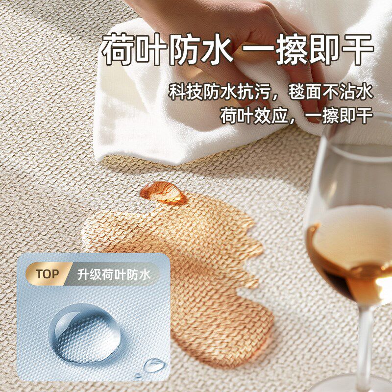 客厅高级感毛毯地垫除尘踩脚沙发地毯轻奢高级耐脏茶几毯卧室家用