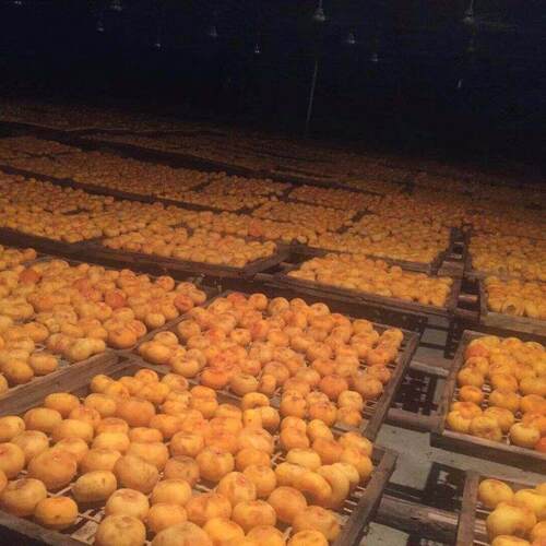水果风果烘干机干大型空气能果烘干房HWM龙眼荔枝芒果热循脯环干