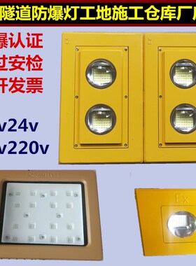 LED隧道灯防爆灯100W50W低压36V24V施工工地防爆投光灯200W400W瓦