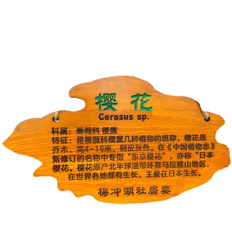 定制实木标识牌挂牌户外幼儿园介绍牌认养简介植物悬挂式树牌木质