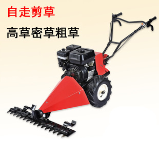 柴油剪草機(jī)自走汽油割草機(jī)草坪機(jī)除草機(jī)打草機(jī)草厚四沖程7.5馬力