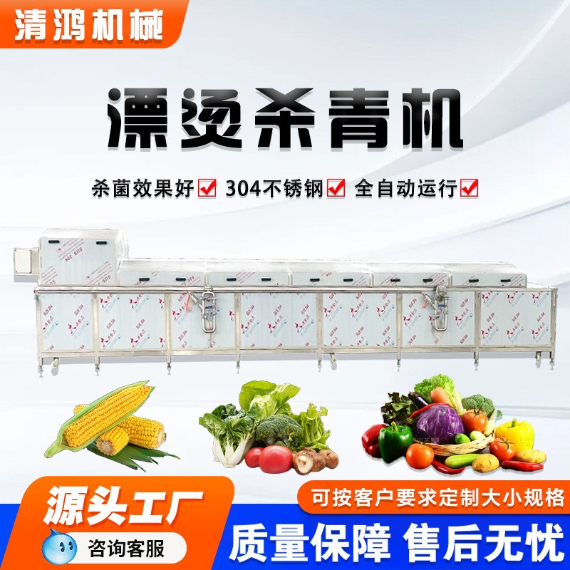 上海青油菜杀青机全自动杏鲍菇香菇漂烫设备袋装清水蕨菜加工机械