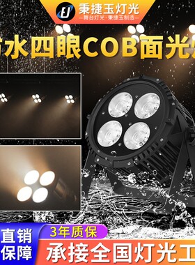 高亮度防水200W四眼COB面光灯户外舞台文旅亮化led照明补光射灯光