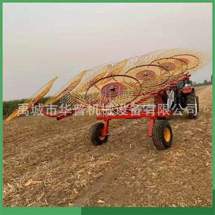 厂家销售 液压牵引式 搂草机 苜蓿苜蓿等大型收集机 搂牧草机