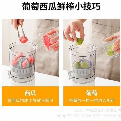 果汁机家用纯果汁榨汁机果汁分离便携榨汁杯迷你搅拌机榨汁机跨境