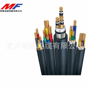 双芯电缆 铜芯电缆 聚乙烯交联电缆YJV2X10