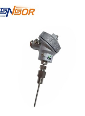 EYC拧入式热电阻R2系列 PT100信号 FPT1/4活动螺纹 管长可选订购